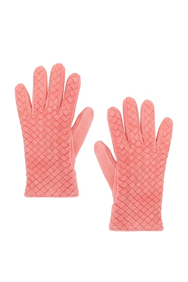 Leather Gloves