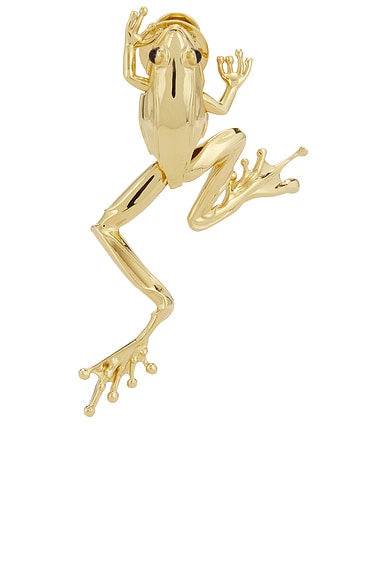 Frog Brooch