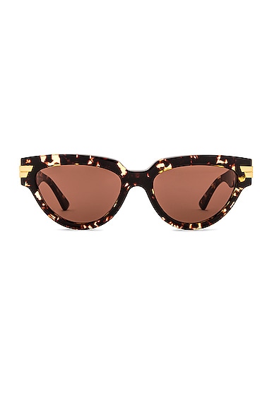 Bottega Veneta Bold Ribbon Cat Eye Sunglasses in Havana & Brown