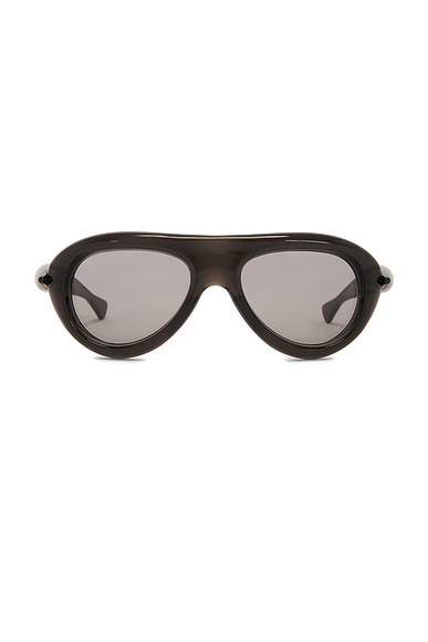 Sardine Oval Sunglasses