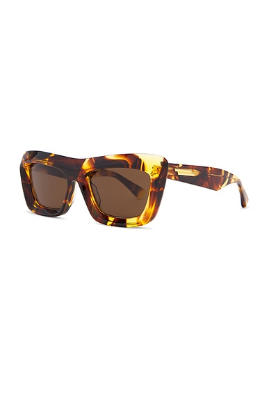 Bottega Veneta Tortoiseshell Scoop Squared Acetate Sunglasses In Havana