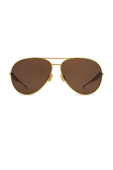 Sardine Sunglasses
