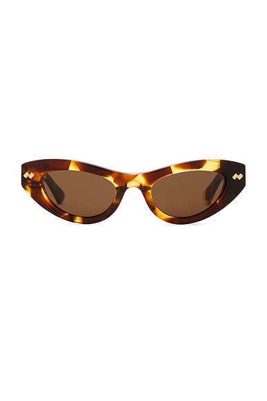 Bottega Veneta Bold Ribbon Stud Sunglasses in Havana & Brown