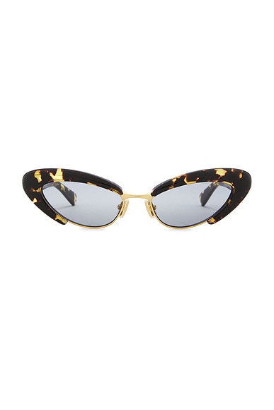 Bottega Veneta Cat Eye Sunglasses in Havana & Blue
