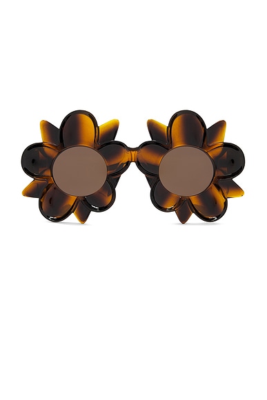 Flower Sunglasses in Havana & Brown