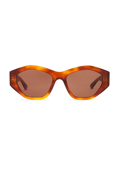 Bottega Veneta Cat Eye Sunglasses in Havana & Brown