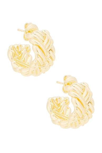 Bottega Veneta Hoop Earrings in Yellow Gold