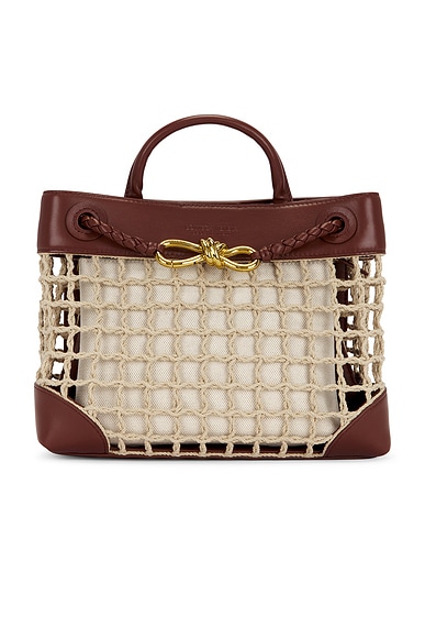 Bottega Veneta Small Andiamo Net Bag in Natural, Sapele, & Muse Brass