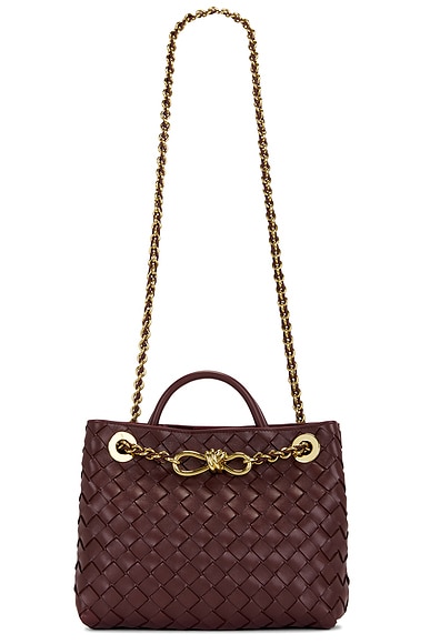 Bottega Veneta Small Andiamo Bag in Madder Brown & Muse Brass