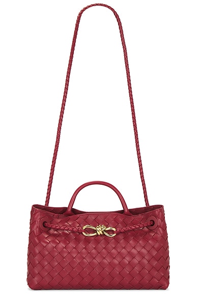 Bottega Veneta East West Andiamo Bag in Rosewood & Muse Brass