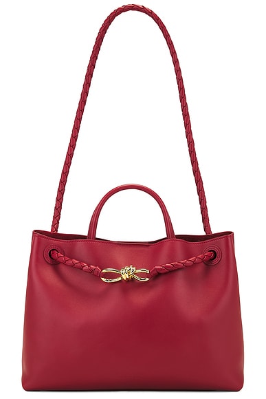Bottega Veneta Medium Andiamo Bag in Rosewood, Space, & Muse Brass