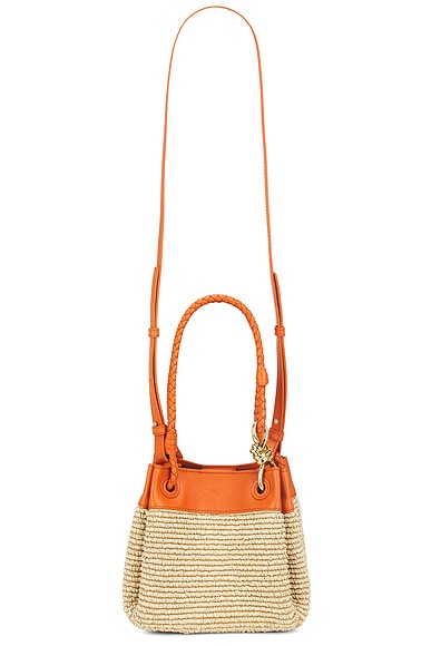 Bottega Veneta Small Parachute Raffia Bag in Natural, Burned Orange, & Muse Brass