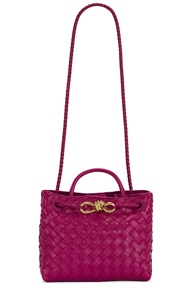 Bottega Veneta Small Andiamo Bag in Cinnabar & Muse Brass