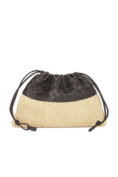 Bottega Veneta Dustbag Pouch in Natural, Espresso, & Gold