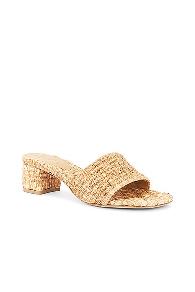 Bottega Veneta Amymule Sandal In Spelt