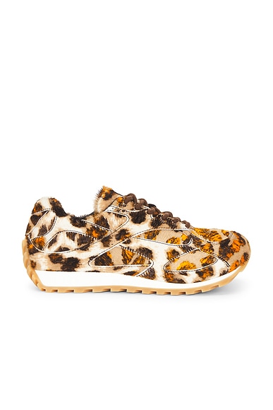 Bottega Veneta Orbit Sneaker in Jaguar | FWRD