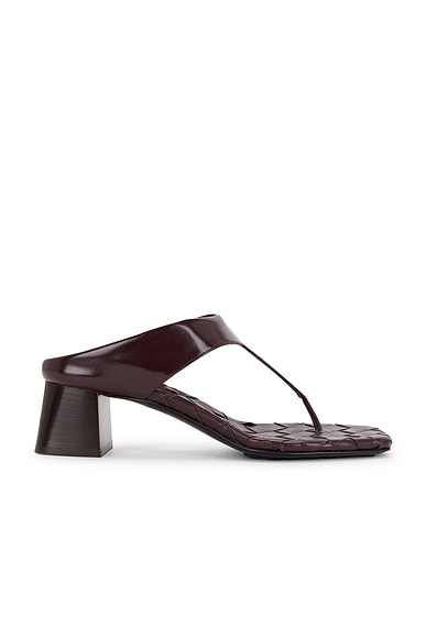Bottega Veneta Thong Sandal in Dark Barolo