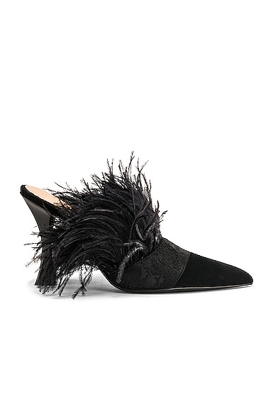 Feather Mules