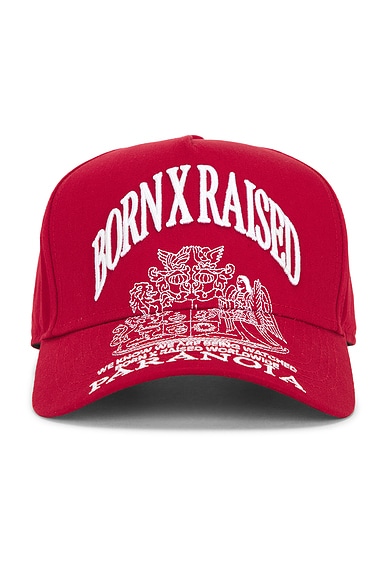 Paranoia Crest Snapback