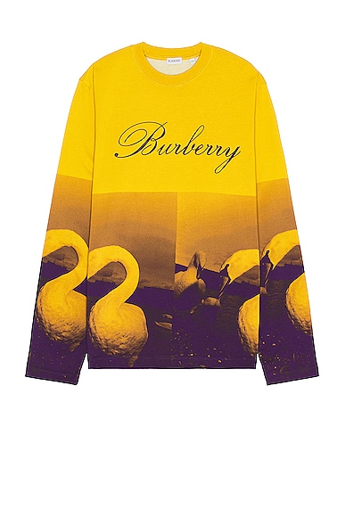 Burberry Football Sweater In Pear Ip Pattern
