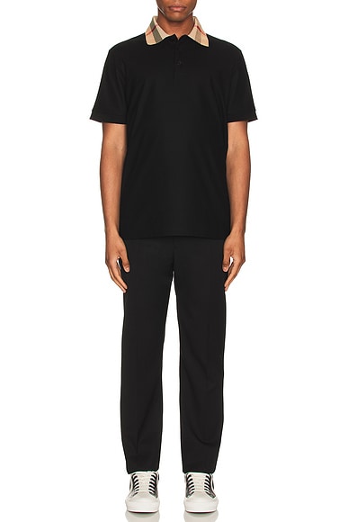 Cody Polo