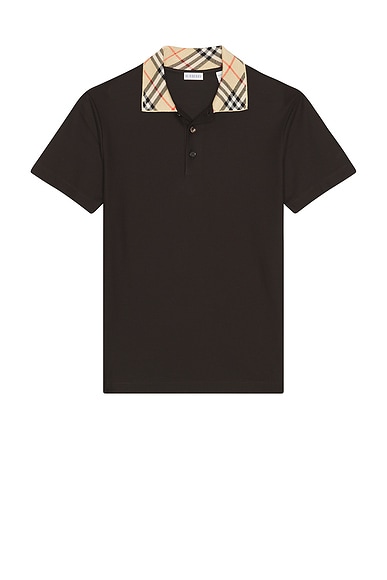 Evan Polo
