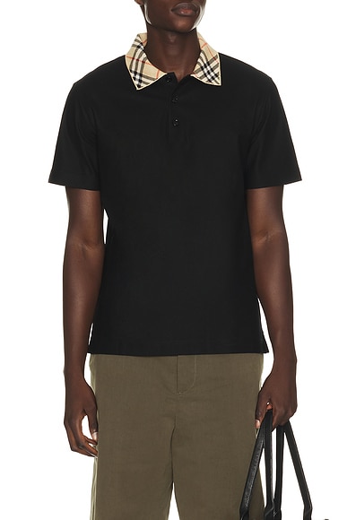 Evan Polo