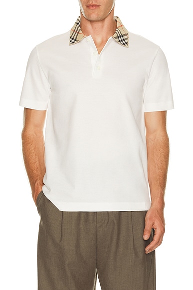 Evan Polo