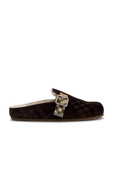 Urchin Shearling