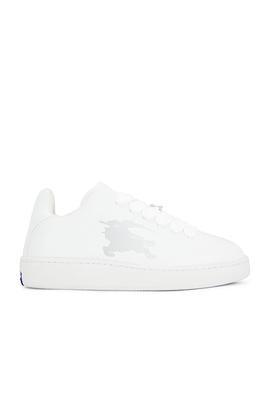 Box Sneaker