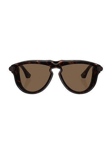 Aviator Sunglasses