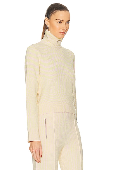 Shop Burberry Turtleneck Sweater In Cameo Ip Pattern