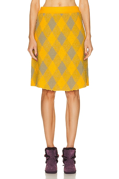 Burberry Argyle Skirt in Mimosa IP Pattern