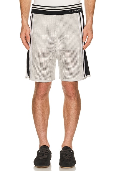Metallic Mesh Stripe Shorts