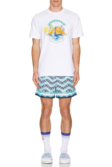 Printed Swim Shorts