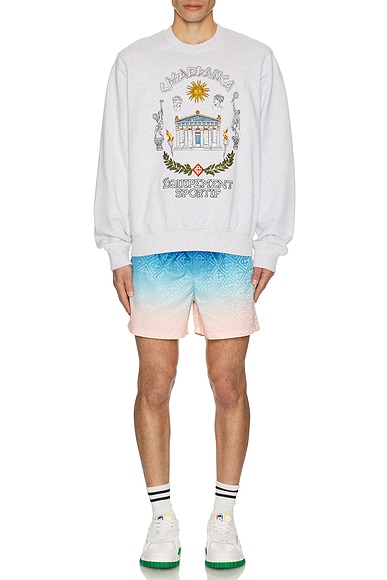 Printed Swim Shorts