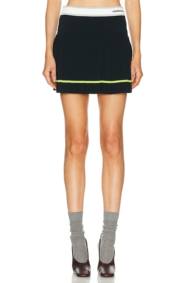 Striped Pleated Skirt