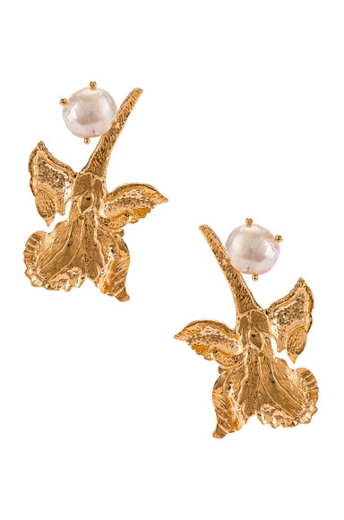 CHRISTIE NICOLAIDES EARRINGS,CDEF-WL36