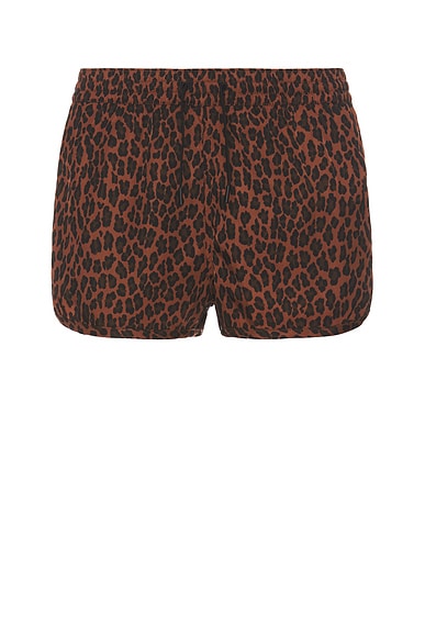 Swim Shorts