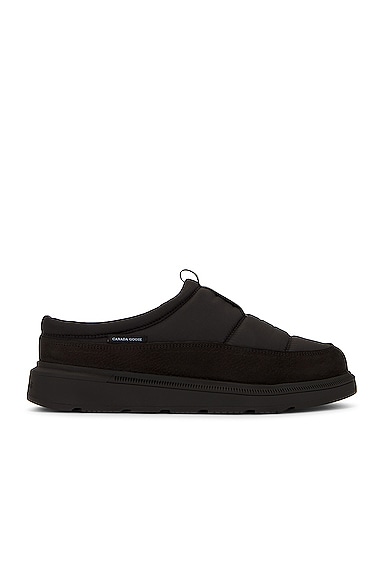 Crofton Mule