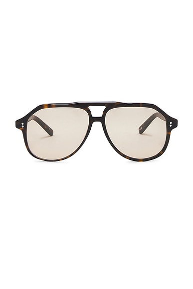 Chimi Sally Sunglasses in Terra Tortoise