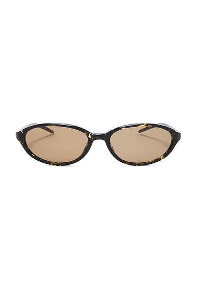 Chimi Ellipse Sunglasses in Feral Tortoise
