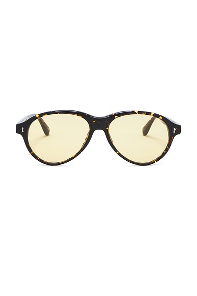 Chimi Tome Sunglasses in Feral Tortoise