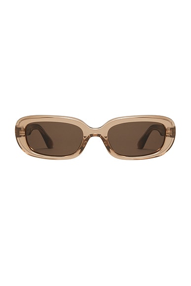 12 Sunglasses
