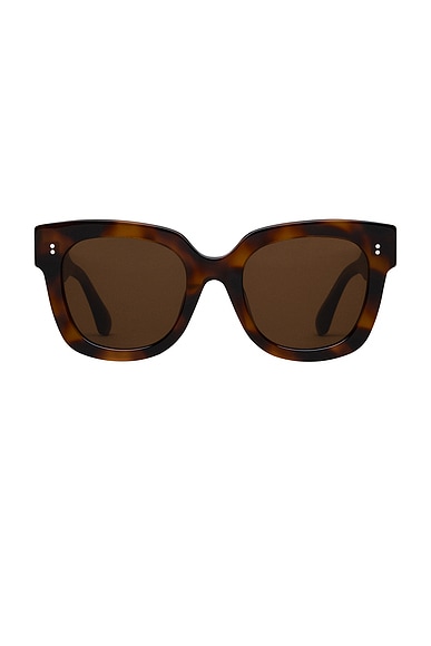 Chimi X14 Sunglasses in Tortoise