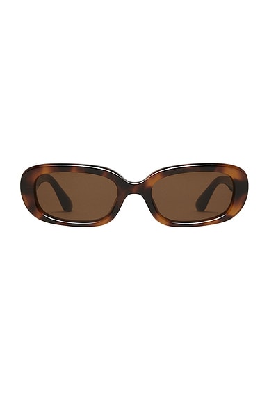 Chimi 12 Sunglasses In Brown