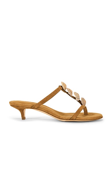Sundial Seashell Kitten Heel