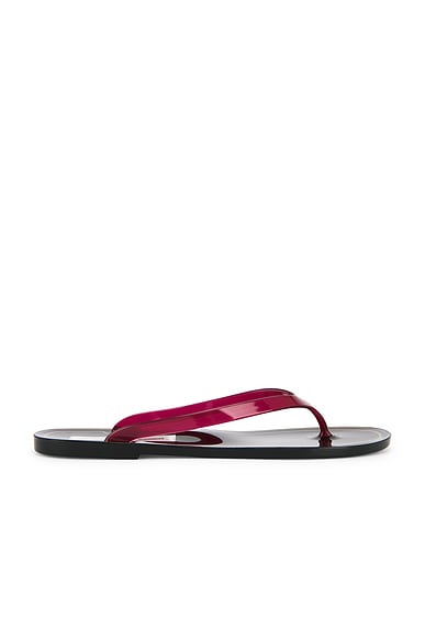 Christopher Esber Jo Flip Flop in Black & Cranberry