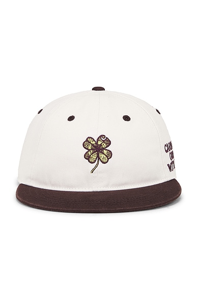 Carhartt WIP Clover Cap in Wax Palisander