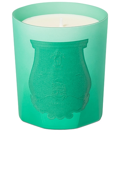 Under The Trees Candle